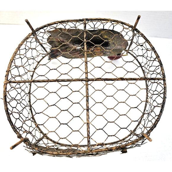 Vintage Rustic Collectible Metal Wire Chicken Basket Hen Chicks Farmhouse Decor - Picture 7 of 8